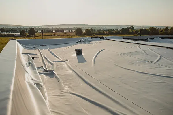 School Roofing
